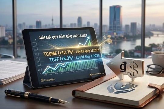 Giải mã quỹ “ngược sóng”: TCSME và TCFF