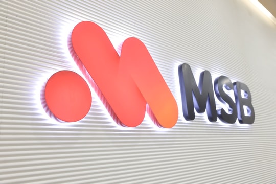 ĐHCĐ MSB: Mục tiêu lãi 8.000 tỷ đồng, trả cổ tức 20%