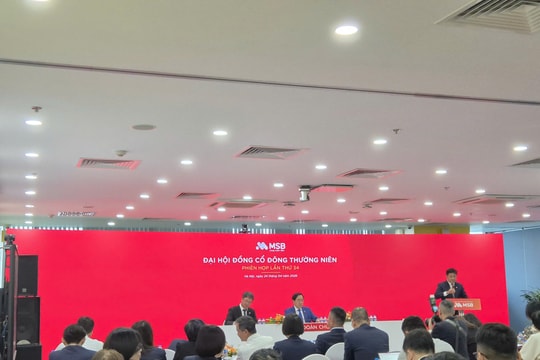 ĐHCĐ MSB: Mục tiêu lãi 8.000 tỷ đồng, trả cổ tức 20%