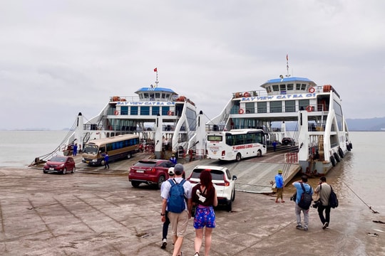 Toàn bộ người dân đi du lịch Cát Bà chú ý: Bến phà dừng chuyên chở phương tiện ra đảo