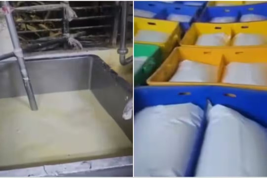 Đột kích một nhà máy, triệt phá đường dây sản xuất sữa giả từ urê, chất tẩy rửa, tịch thu 3.000 lít sữa và hàng trăm kg hoá chất