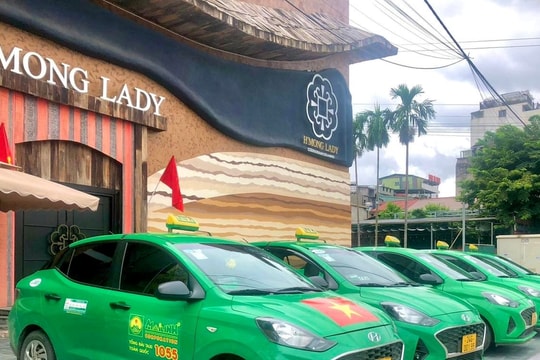 Ngân hàng siết nợ 5 chiếc xe VinFast VF5 Plus của Taxi Mai Linh 