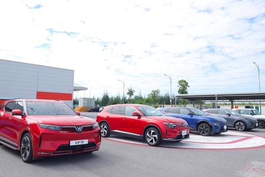 Chuyên gia xe Nhật Bản: Thị phần xe truyền thống đối mặt thách thức từ đà bứt tốc của VinFast