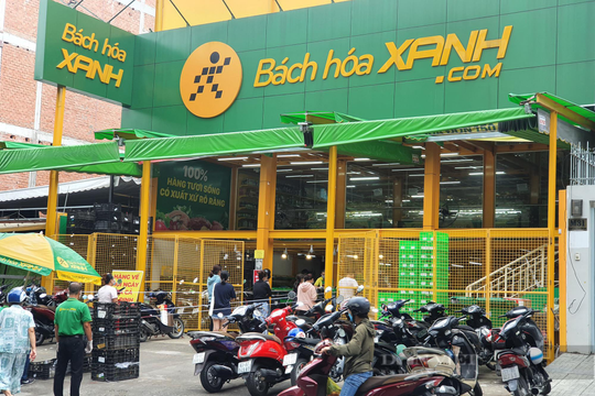 Mở 4 cửa hàng mỗi ngày, Bách Hóa Xanh lãi lớn