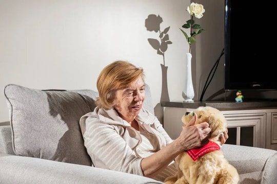 Kỷ nguyên dưỡng già 4.0: 1 tỷ USD rót vốn và bài toán chăm sóc 11.000 người cao tuổi gia tăng mỗi ngày tại Mỹ