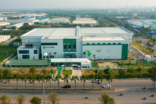 Dược liệu Trung ương 2 hụt hơi quý đầu năm, lợi nhuận lao dốc gần 30%