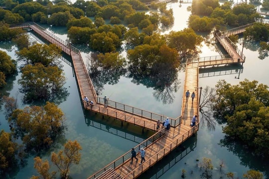 Cú chuyển mình thần kỳ của Hạ Long: Sắp có công viên câu cá lớn nhất thế giới rộng gấp 45 lần sân Mỹ Đình, quy mô lên đến 800 ha
