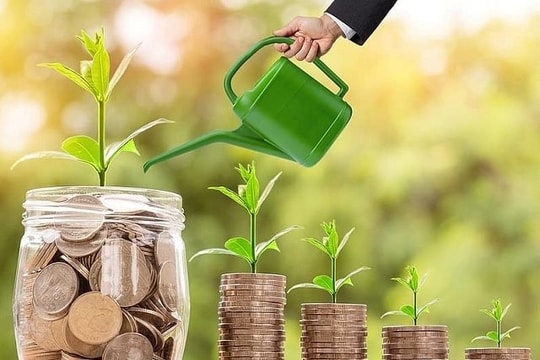 Một công ty chốt ngày trả cổ tức tiền mặt tỷ lệ 20,22% 
