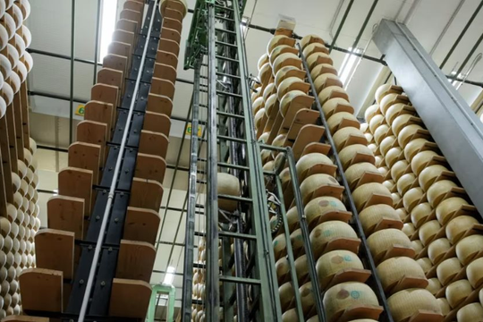 500.000 bánh phô mai trong kho, trị giá 325 triệu euro: Bí mật 'ngân hàng' kỳ lạ nhất thế giới, cỗ máy tài chính 4 tỷ USD quý hơn vàng của nước Ý