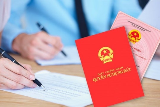 Công an khởi tố Nguyễn Thị Phiến SN 1965