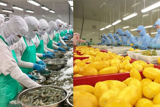 Triển vọng bứt phá cho xuất khẩu thủy sản, rau quả của Việt Nam