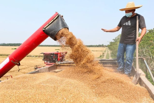 Không phải sầu riêng, Campuchia vừa đón tin cực vui ở mặt hàng đang cạnh tranh với Việt Nam - Trung Quốc góp công lớn