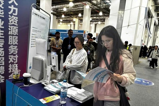 Lương 250 triệu/tháng vẫn chưa là gì: Những ngành này đang khiến các ông lớn công nghệ phát cuồng, 7 công ty giành giật 1 nhân sự