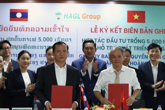 Chính quyền tỉnh Champasak và Bầu Đức ký thỏa thuận phát triển 5.000 ha cà phê, nhắm mục tiêu vùng trồng lớn nhất thế giới