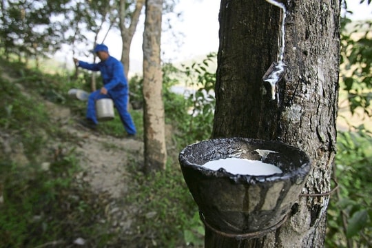 Một nguyên liệu thiết yếu cho ngành ô tô bất ngờ tăng giá mạnh nhất 8 năm: Việt Nam đứng thứ 3 thế giới về sản lượng nhưng chưa phải quốc gia hưởng lợi nhất