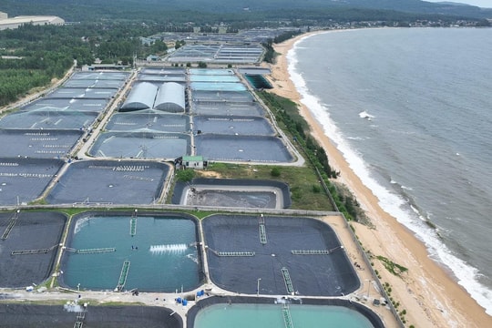 
Sở hữu đường bờ biển dài 82km nhưng chưa được kích hoạt hết tiềm năng, loạt 'ông lớn' đề xuất đầu tư cảng biển tại một tỉnh miền Trung, cạnh tranh cùng Nghi Sơn, Vũng Áng