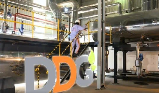 DDG đối diện nguy cơ hủy niêm yết sau chuỗi kinh doanh thua lỗ kéo dài