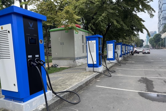 Tỷ phú Phạm Nhật Vượng và bước tiến mới tại quốc gia có hơn 7.600 hòn đảo