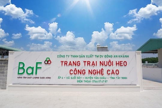 Cầm cố loạt công ty con, BAF vay 1.270 tỷ đồng từ 'đại gia' Hà Lan