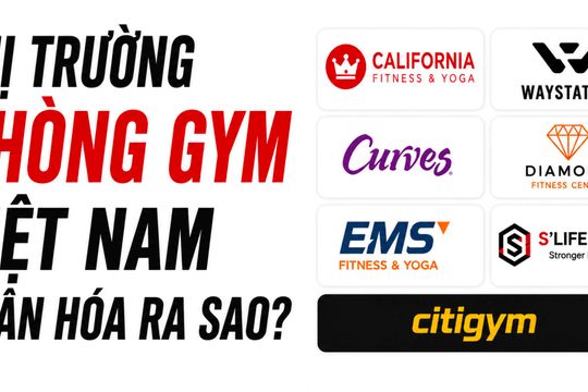Chuỗi 'rèn múi luyện cơ' giá rẻ 300.000 đồng/tháng lăm le soán ngôi vua phòng gym của California Fitness, riêng Fitness Elite mất hút khỏi top đầu