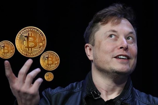 SpaceX của Elon Musk hé lộ số Bitcoin đang nắm giữ ngay trước thương vụ IPO lịch sử
