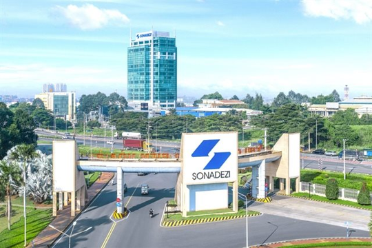 Bắt trưởng Ban kiểm soát Sonadezi