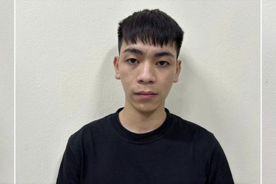Tạm giamTrương Quốc Đạt, Trương Minh Đức, Ngô Thị Như Ý SN 2004-2006: Giả nhân viên ngân hàng để cho vay