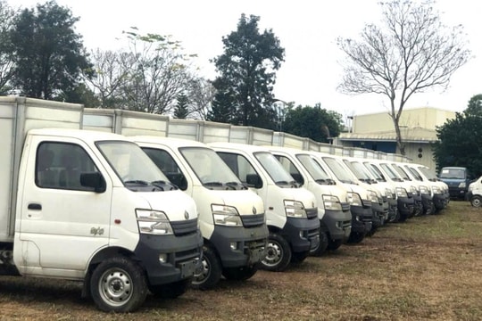 Doanh nghiệp ô tô lớn nhất sàn chứng khoán bán đấu giá 141 xe ô tô tải, giá khởi điểm trung bình hơn 66 triệu/xe