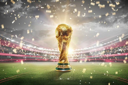 Nhóm ngành nào thường bội thu trong các mùa World Cup?