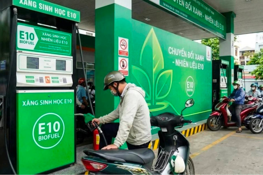 Lời giải cho nỗi lo xăng E10: Không Chính phủ nào lại đi bơm "máu bẩn" vào nền kinh tế