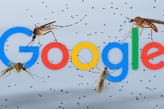 Google muốn thả 32 triệu con muỗi “công nghệ” về rừng: Mục tiêu là gì?