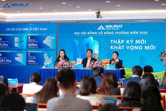 Nông nghiệp Hoà Phát chi gần 600 tỷ đồng tiền mặt trả cổ tức cho hơn 2.300 cổ đông
