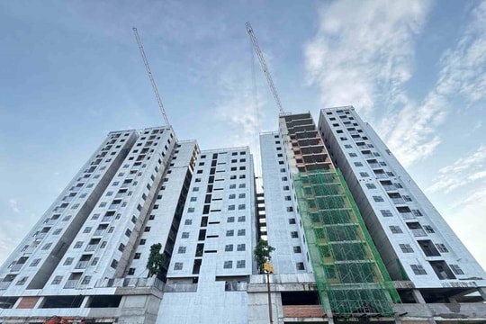 TP.HCM tung hơn 181.000 căn nhà ở xã hội, cảnh báo chiêu trò “bao đậu” hồ sơ