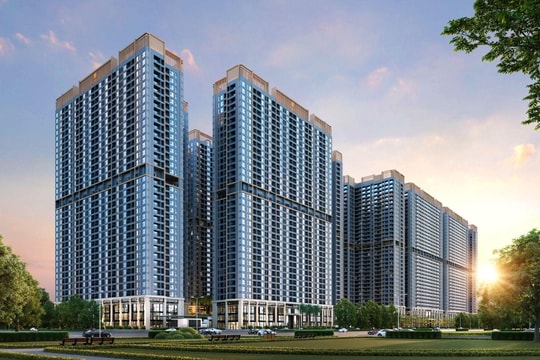 Thiết kế căn hộ vì sức khỏe: Tối ưu giá trị sống trên từng mét vuông