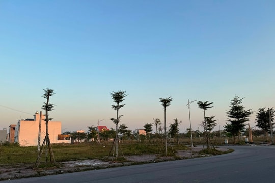 SẮP DIỄN RA TỌA ĐÀM: “ĐỊNH GIÁ ĐẤT – CHÌA KHÓA PHÁT TRIỂN BỀN VỮNG THỊ TRƯỜNG BẤT ĐỘNG SẢN”