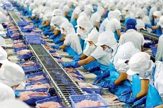 Vĩnh Hoàn trước triển vọng thuận lợi của ngành cá tra, cổ phiếu VHC được kỳ vọng tăng 30%