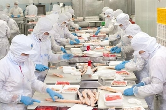 Một cổ phiếu thủy sản được khuyến nghị MUA với kỳ vọng tăng 41%