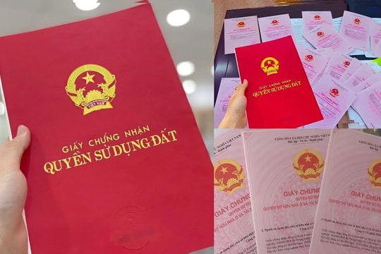 Năm 2026, những trường hợp sau sẽ bị thu hồi Sổ đỏ