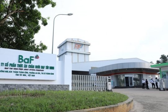 BAF Việt Nam (BAF) sắp phát hành 60,8 triệu cổ phiếu cho cổ đông hiện hữu
