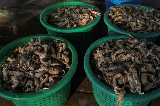 Thái Lan hứng ‘đòn giáng’ từ nước láng giềng