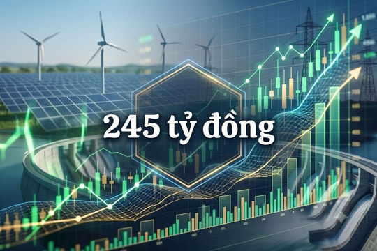 Doanh nghiệp điện do EVN đồng sáng lập trả cổ tức cao nhất trong lịch sử