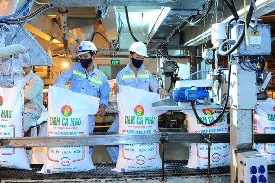 Sau nhịp giảm gần 30% từ đỉnh, một cổ phiếu phân bón được dự báo còn dư địa tăng 40%