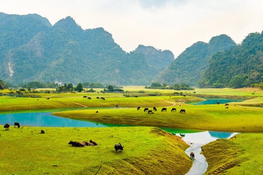 1 nơi đặc biệt ở Việt Nam khí hậu mát mẻ quanh năm: 3 mặt bao quanh là núi đá, có "kho báu 250 triệu năm", Sun Group đầu tư siêu dự án 21.000 tỷ đồng