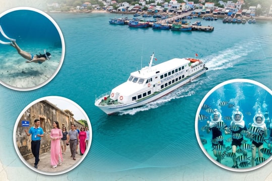 Dòng tiền lãi 'lượn như sóng', đại gia đưa du khách ra Phú Quốc, Côn Đảo, Phú Quý vẫn báo tin vui