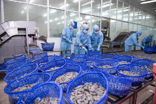Một cổ phiếu thủy sản được kỳ vọng tăng gần 30%