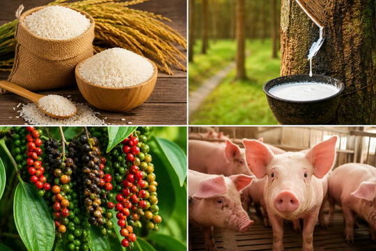 Thị trường hàng hoá ngày 15/6: Cao su, hồ tiêu khởi sắc; gạo và heo hơi giữ ổn định