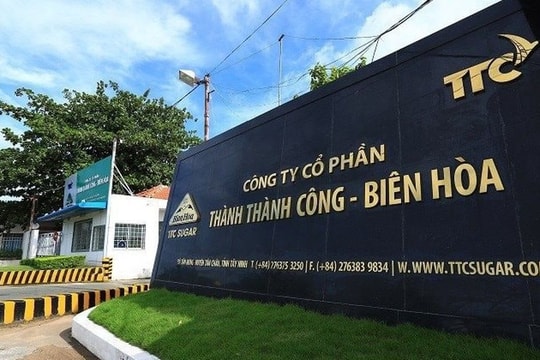 Chủ tịch TTC AgriS Đặng Huỳnh Ức My "gom" thành công 42,76 triệu cổ phiếu SBT, nâng sở hữu lên gần 12%