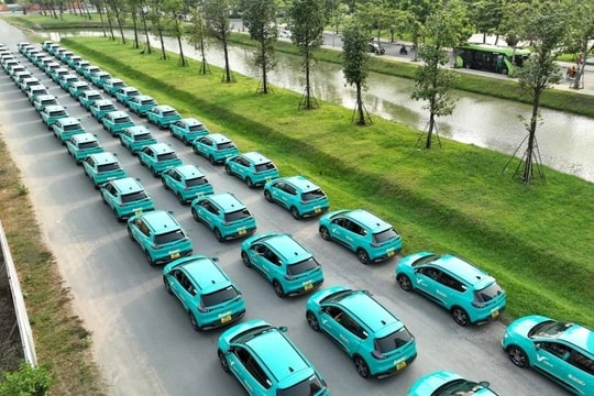 Ai là Tổng giám đốc mới cho hãng taxi của ông Phạm Nhật Vượng?
