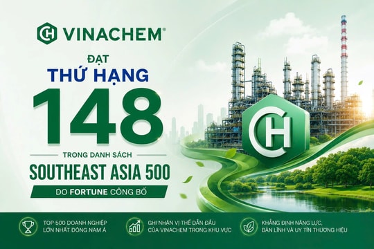 Doanh thu 2,4 tỷ USD, Vinachem lần đầu có tên trong bảng xếp hạng 500 doanh nghiệp Đông Nam Á của Fortune
