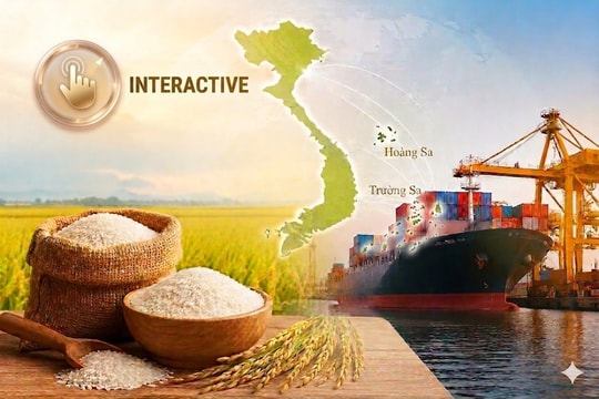 Trung Quốc, Iraq, Ukraine đồng loạt mang đến tin vui đến Việt Nam